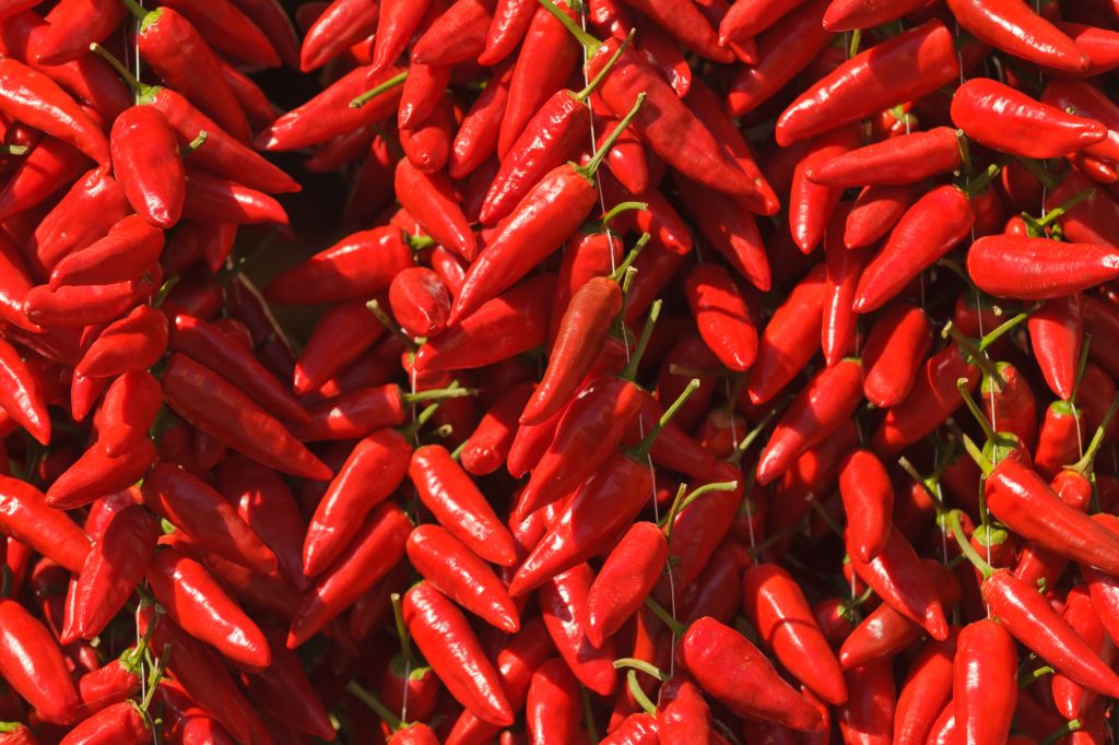 Calabrian red pepperoncino on market in Tropea