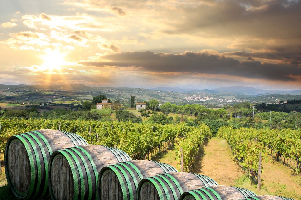 Chianti vineyard landscape with wooden barrels in Tuscany, Italy
