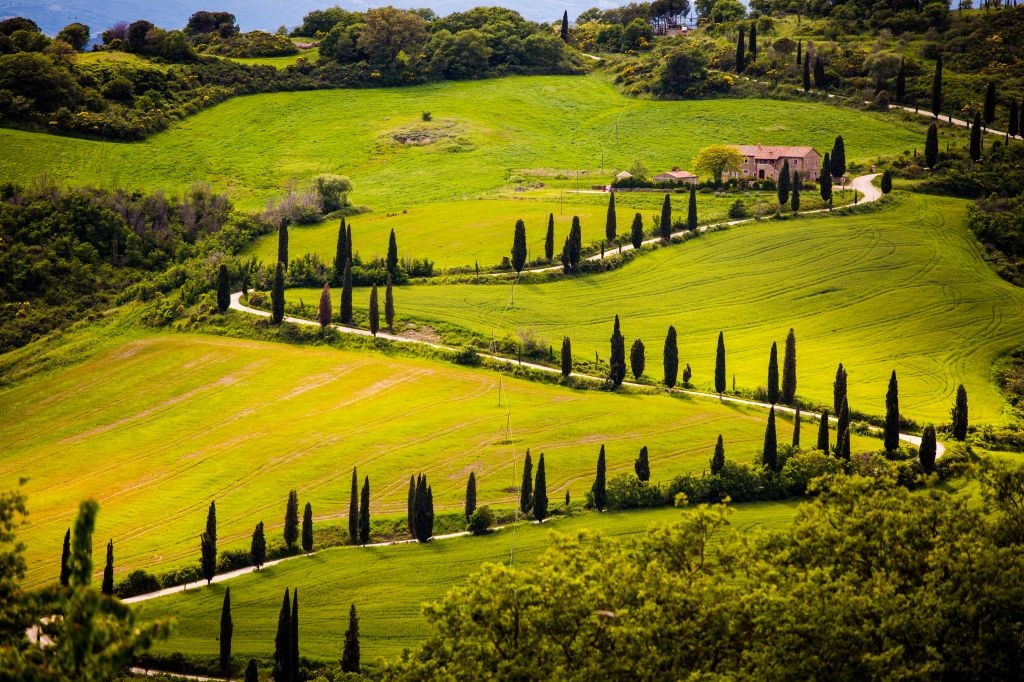 Curve road with cypress trees in val D'Orcia, Italy