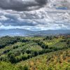 Travel Review Italy Travel Agency: Custom Italy Vacation Package, Lake Maggiore, Bologna, Florence, Tuscany, Chianti, Assisi, Rome