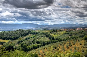 Panoramic view of Montefalco. Umbria, Italy