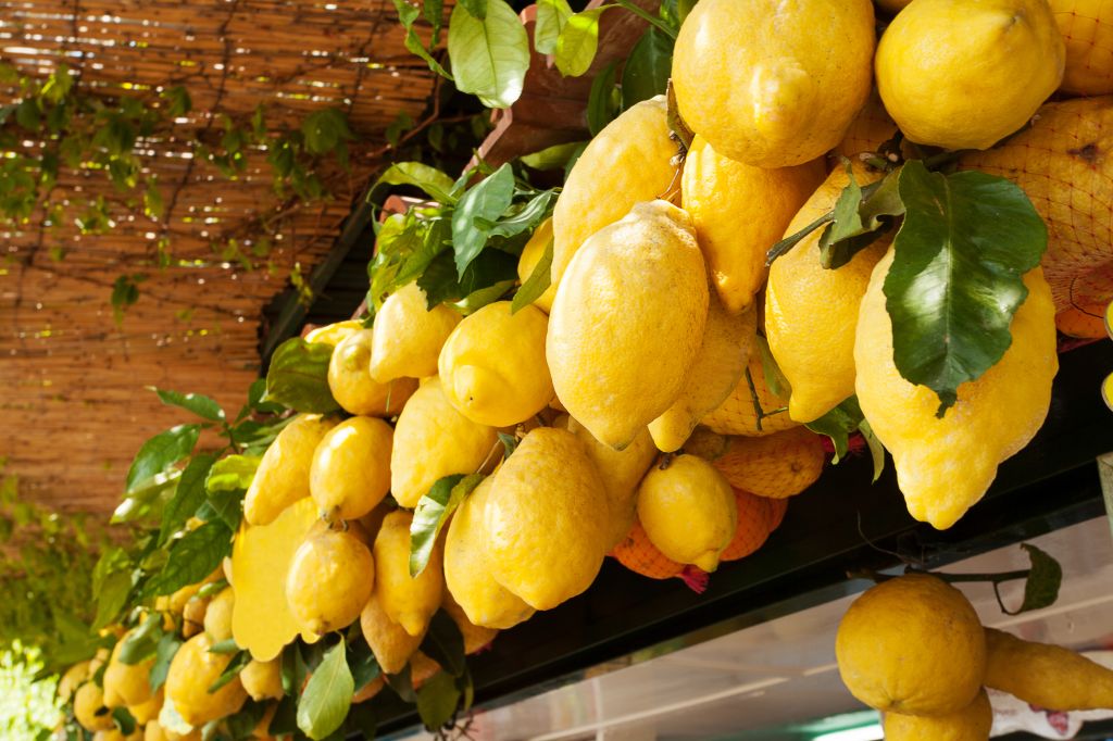 Traditional delicious Italian lemons on the Amalfi Coast, Italy