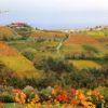 Travel Review Italy Travel Agency: Luxury Italy Vacation Package, Alba, Barolo, Barbaresco