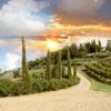 Travel Review Italy Travel Agency: Luxury Italy Vacation Package, Florence, Tuscan Countryside, Lucca, Tuscan Riviera, Cinque Terre