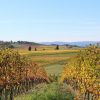 Travel Review Italy Travel Agency: Custom Italy Food & Wine Vacation, Tuscany, Siena, Chianti Val d’Orcia, Montalcino, Montepulciano, Pienza, Emilia Romagna, Bologna, Modena, Parma, Reggio Emilia, Rome