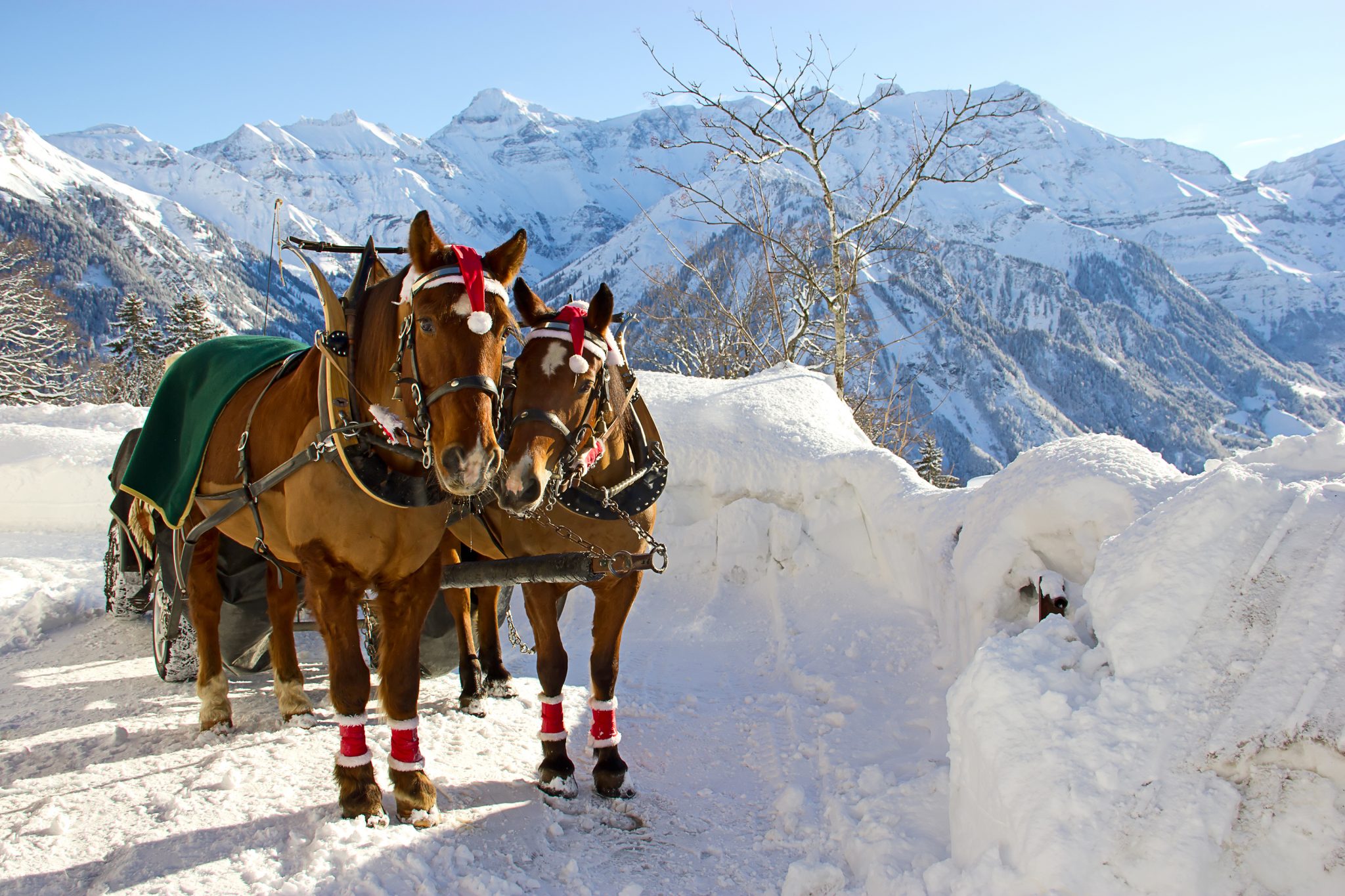 Ski And Fun On The Dolomites 