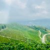 PRIVATE GUIDED TOURS LANGHE ITALY