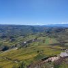 A WONDERFUL TRIP