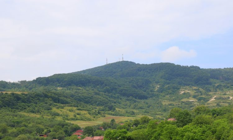 ALTA MURGIA: A JOURNEY THROUGH DEEP TIME