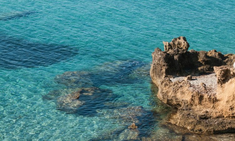 SA DIE DE SA SARDIGNA