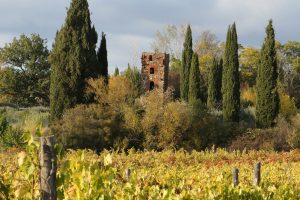 AREZZO4_GALLERY