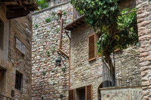ASSISI3_GALLERY