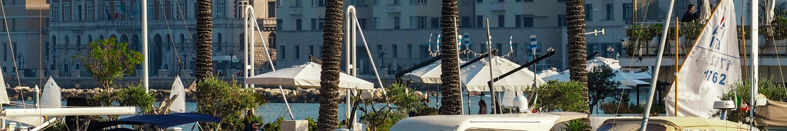 BARI_OVERVIEW