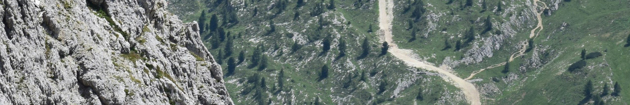 CORTINA_OVERVIEW