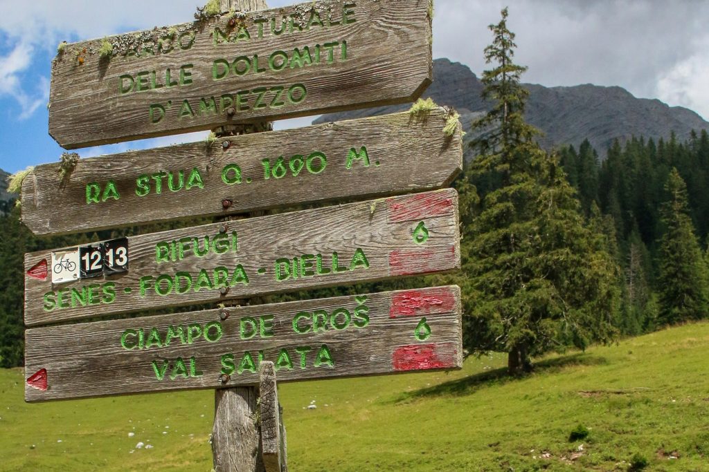 CORTINA2_GALLERY