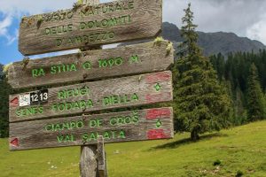 CORTINA2_GALLERY