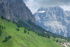 CORTINA6_GALLERY
