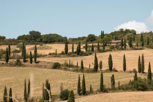 TUSCANY1_GALLERY