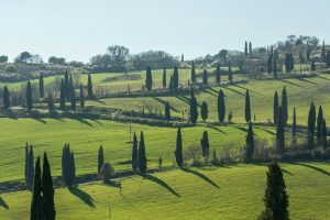 TUSCANY4_GALLERY