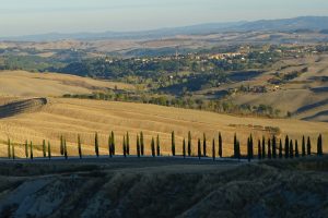 TUSCANY5_GALLERY