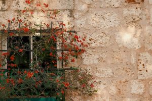 TUSCANY6_GALLERY