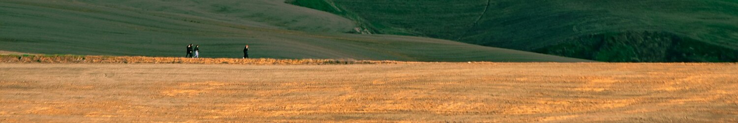 COUNTRYSIDE_OVERVIEW