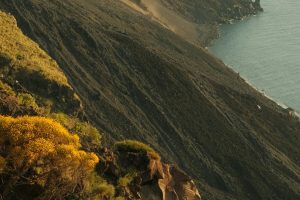 EOLIE5_GALLERY