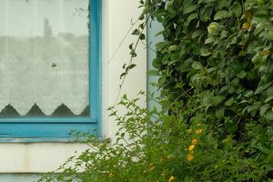 EOLIE6_GALLERY