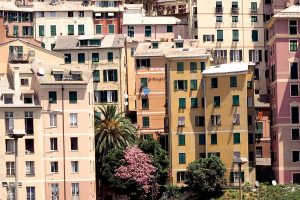 GENOA2_GALLERY