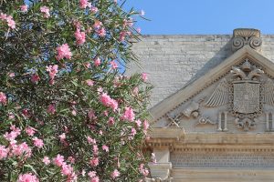 LECCE5_GALLERY