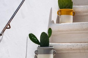 LOCOROTONDO6_GALLERY