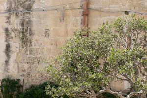 MATERA6_OVERVIEW