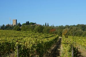 MONTALCINO4_GALLERY