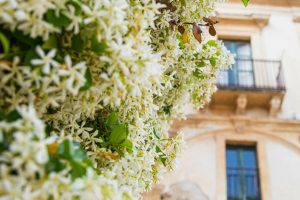 NOTO3_GALLERY