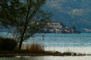 ORTA4_GALLERY