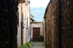 ORTA6_GALLERY