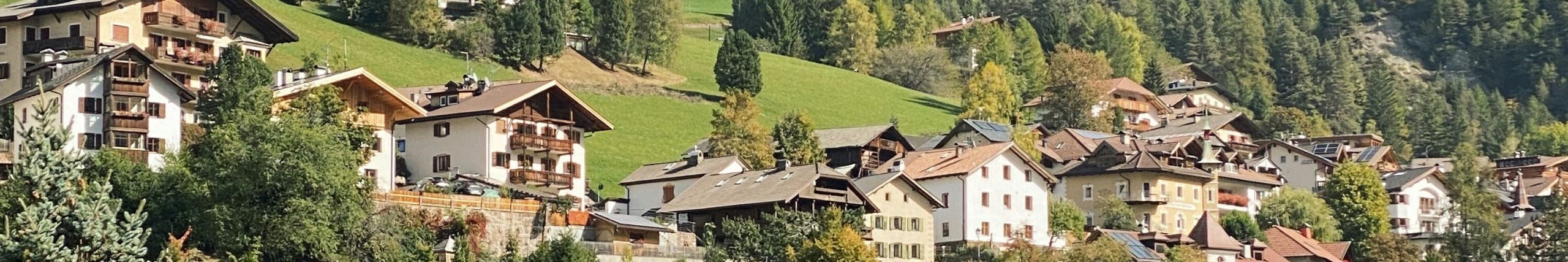 ORTISEI2_OVERVIEW