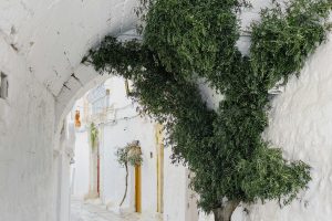 OSTUNI6_GALLERY