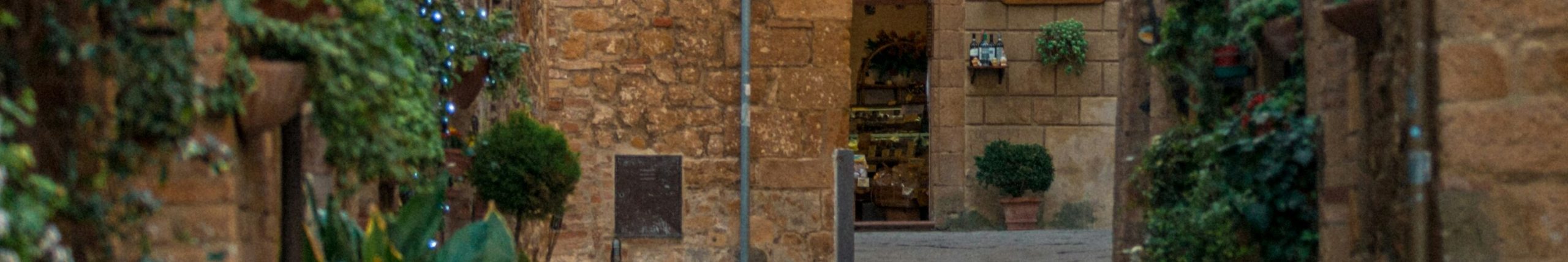 PIENZA_OVERVIEW