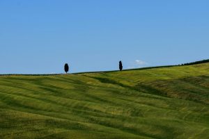 PIENZA1_GALLERY
