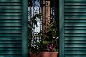 PIENZA3_GALLERY