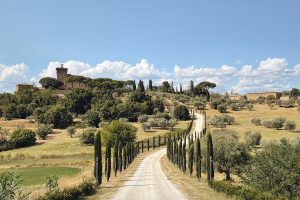 PIENZA5_GALLERY