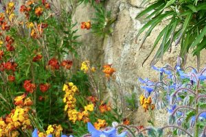 PITIGLIANO2_GALLERY