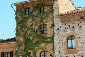 SANGIMIGNANO2_GALLERY
