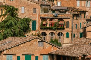 SIENA5_GALLERY