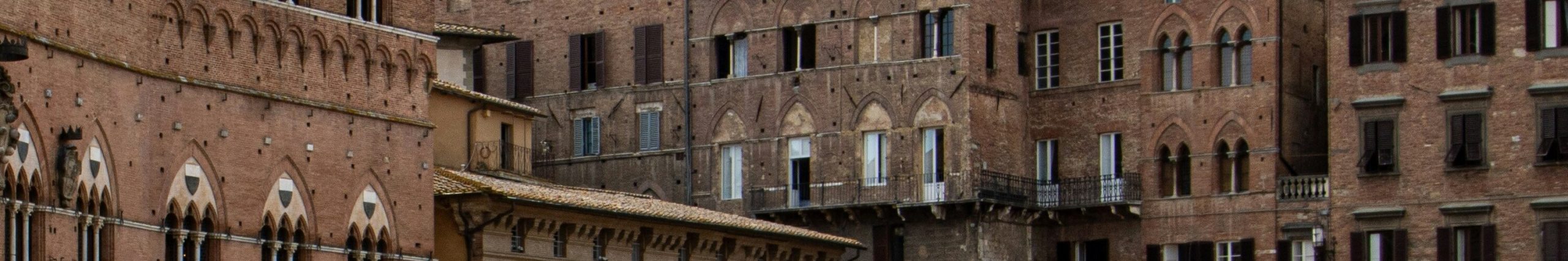 SIENA_OVERVIEW