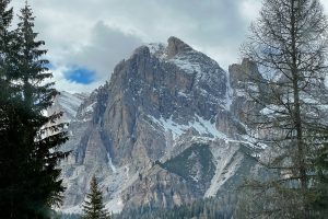 TRENTO1_GALLERY