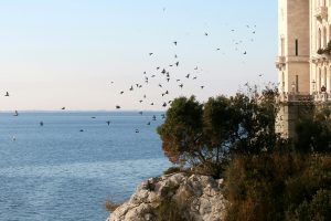TRIESTE4_GALLERY