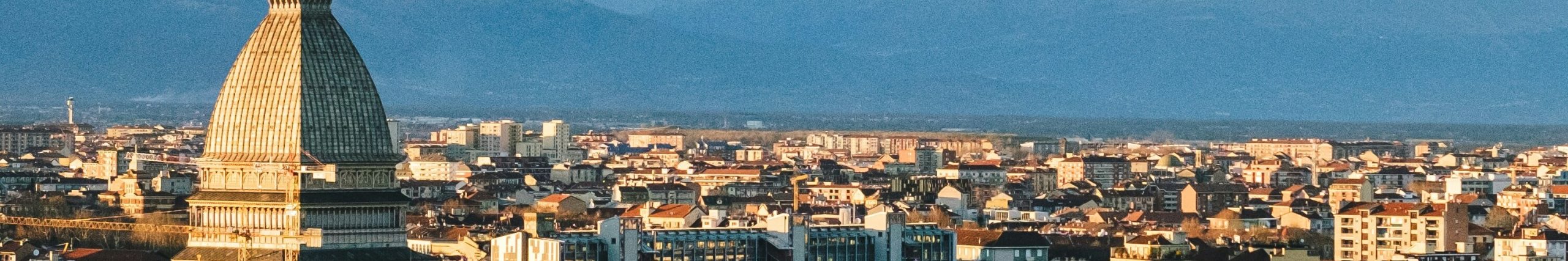 TURIN_OVERVIEW
