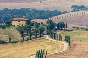 VALDORCIA1_GALLERY
